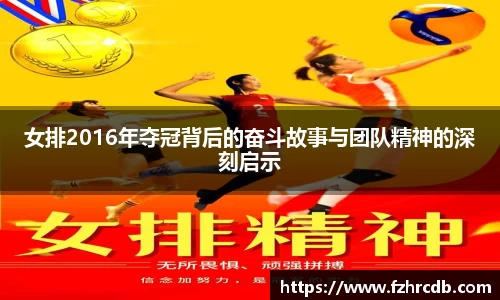 女排2016年夺冠背后的奋斗故事与团队精神的深刻启示